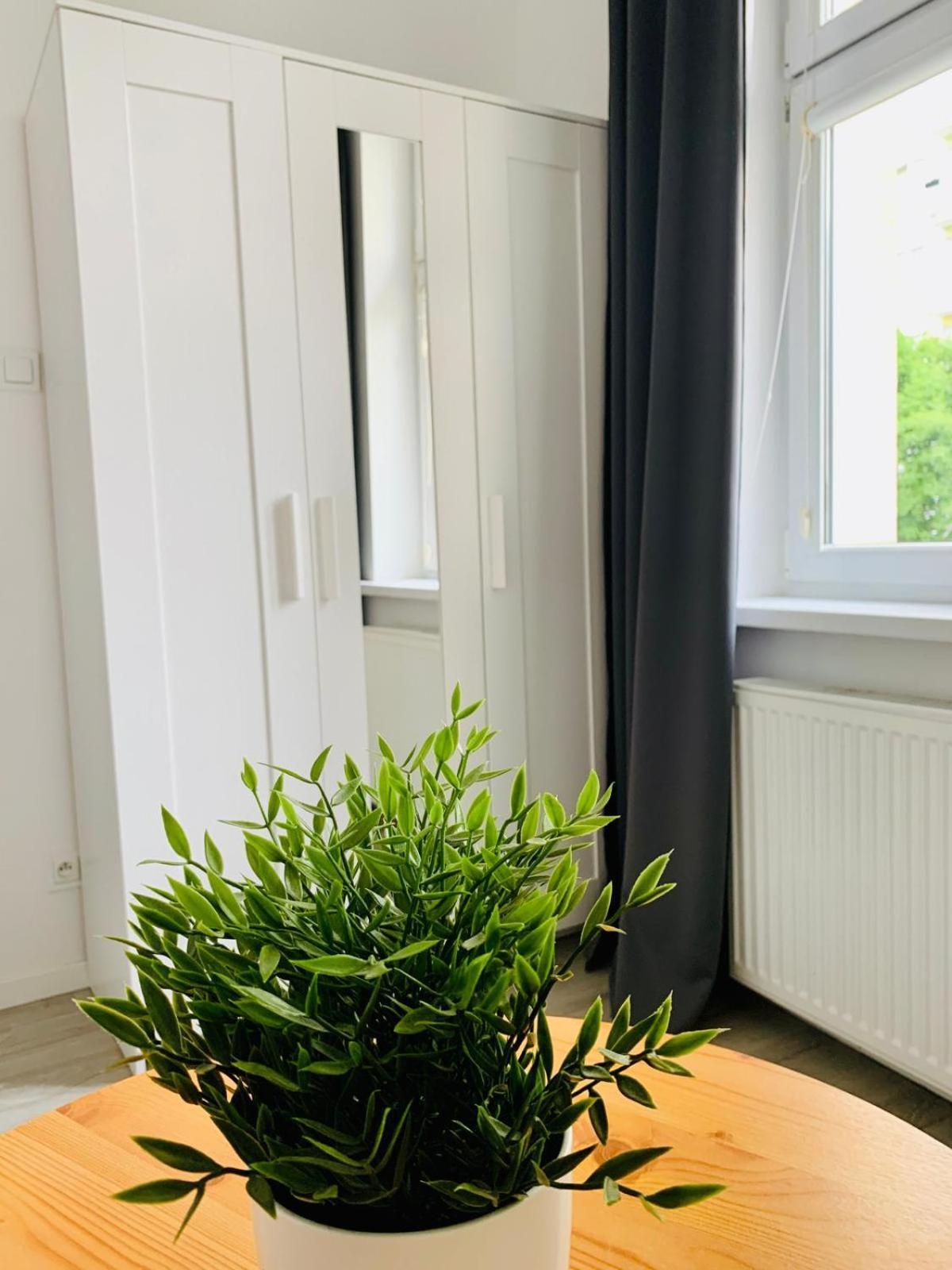 Apartament Fraszka U Kochanowskiego Ac Progres Stary Toruń Eksteriør billede